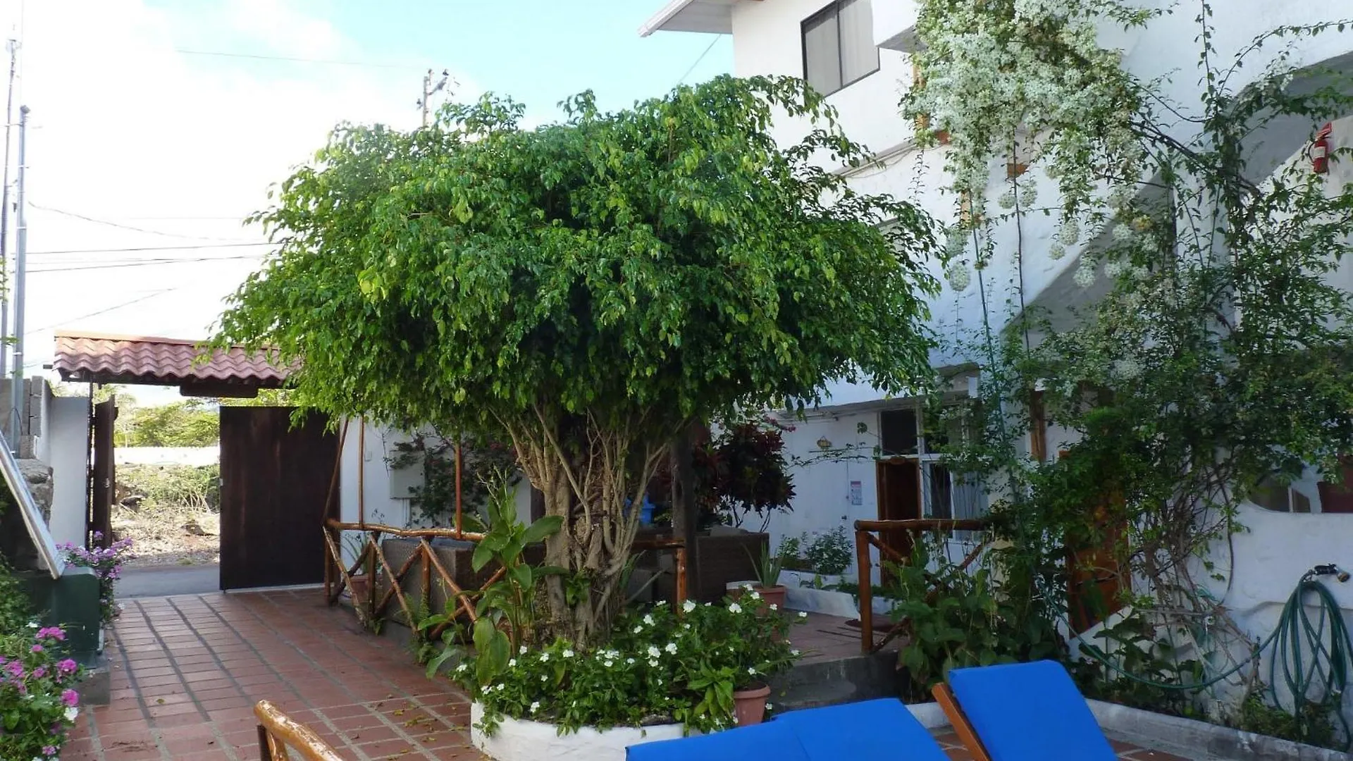 Hotel La Casa De Judy Puerto Ayora