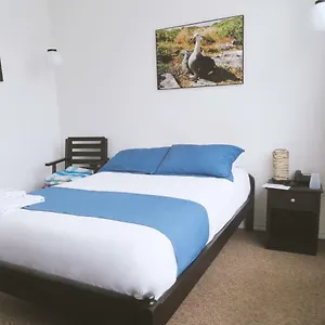 Bed & Breakfast Bird Garden